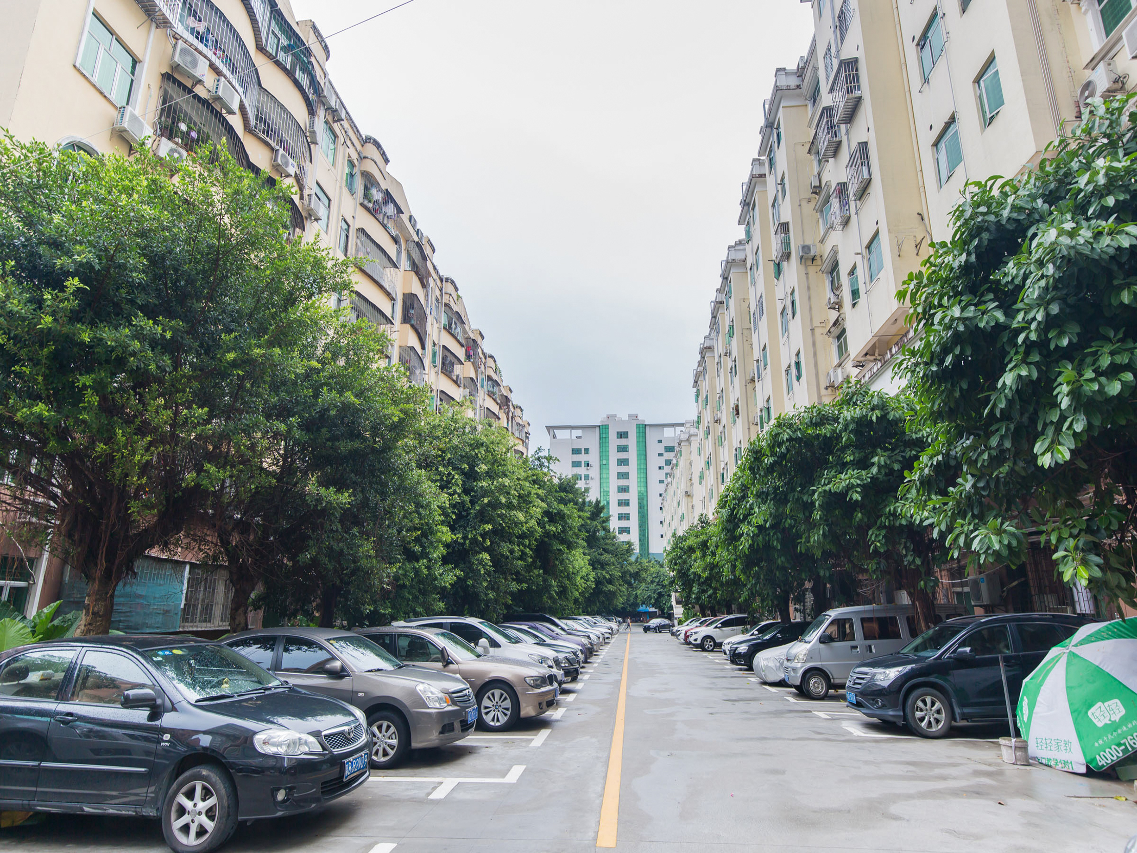 民治地铁站附近潜龙花园,业主诚心出租