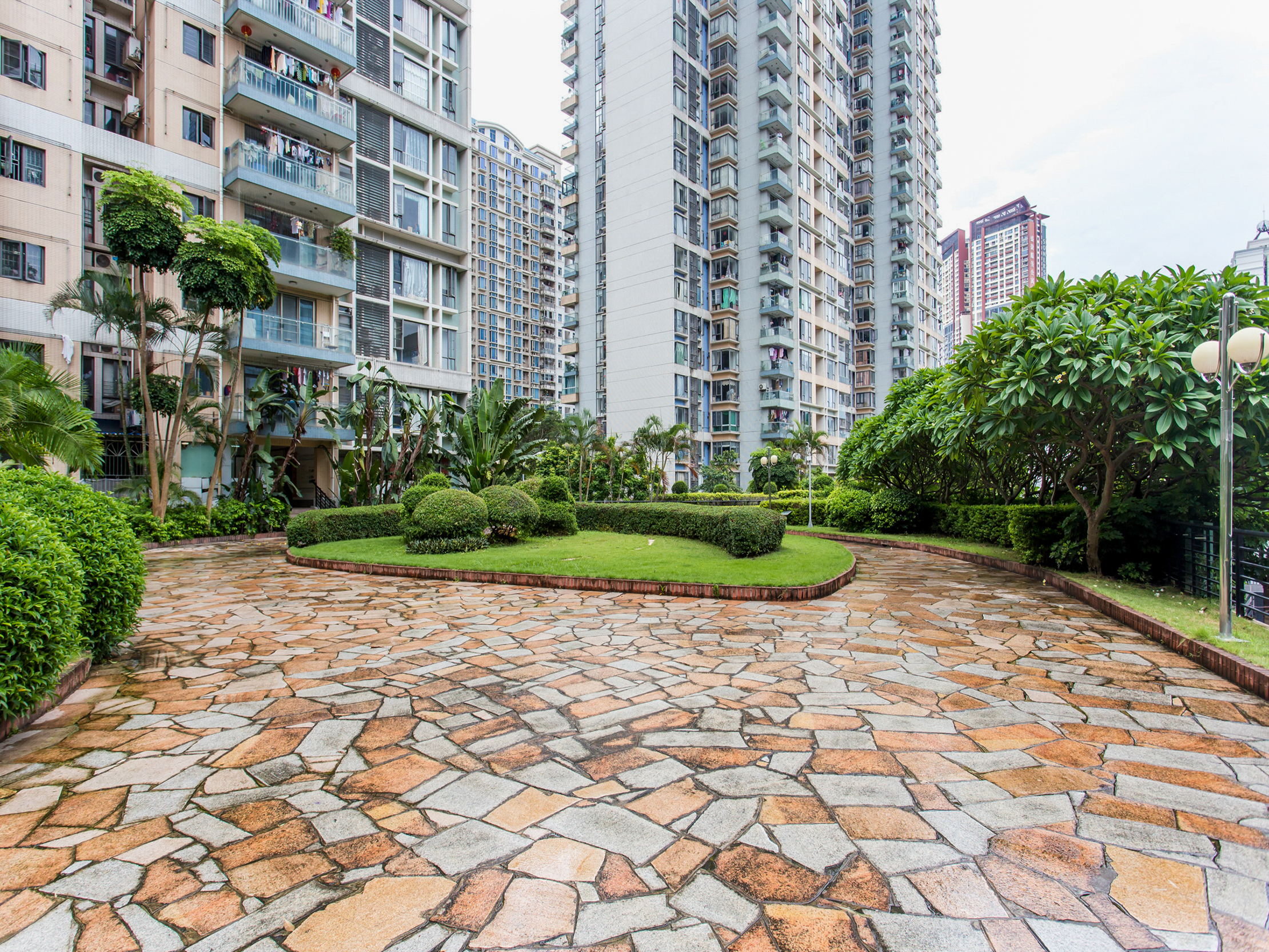 城中雅苑 普通住宅 小区图5