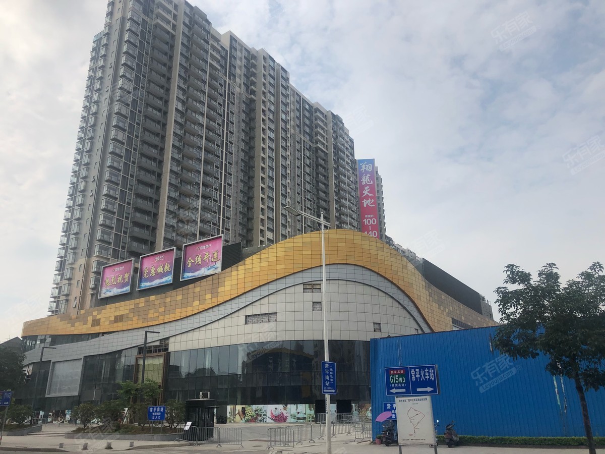 翔龙天地广场_东莞二手房