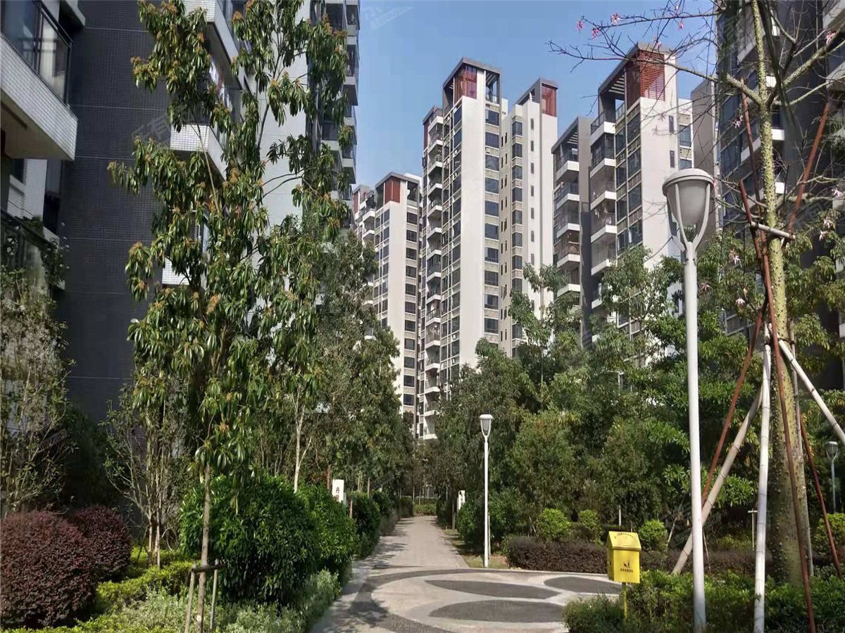 华茵桂语