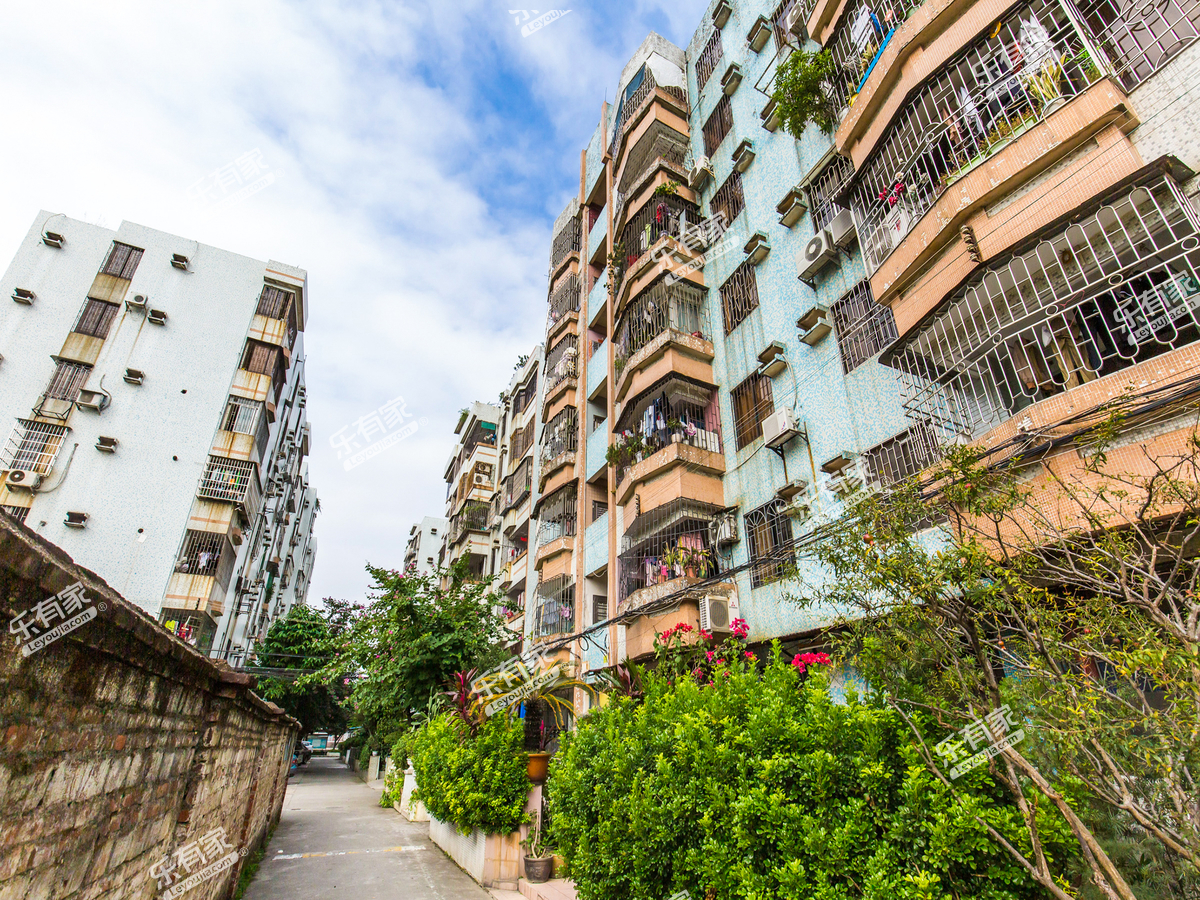 西城花园诚心出售,广州番禺区市桥西城花园二手房