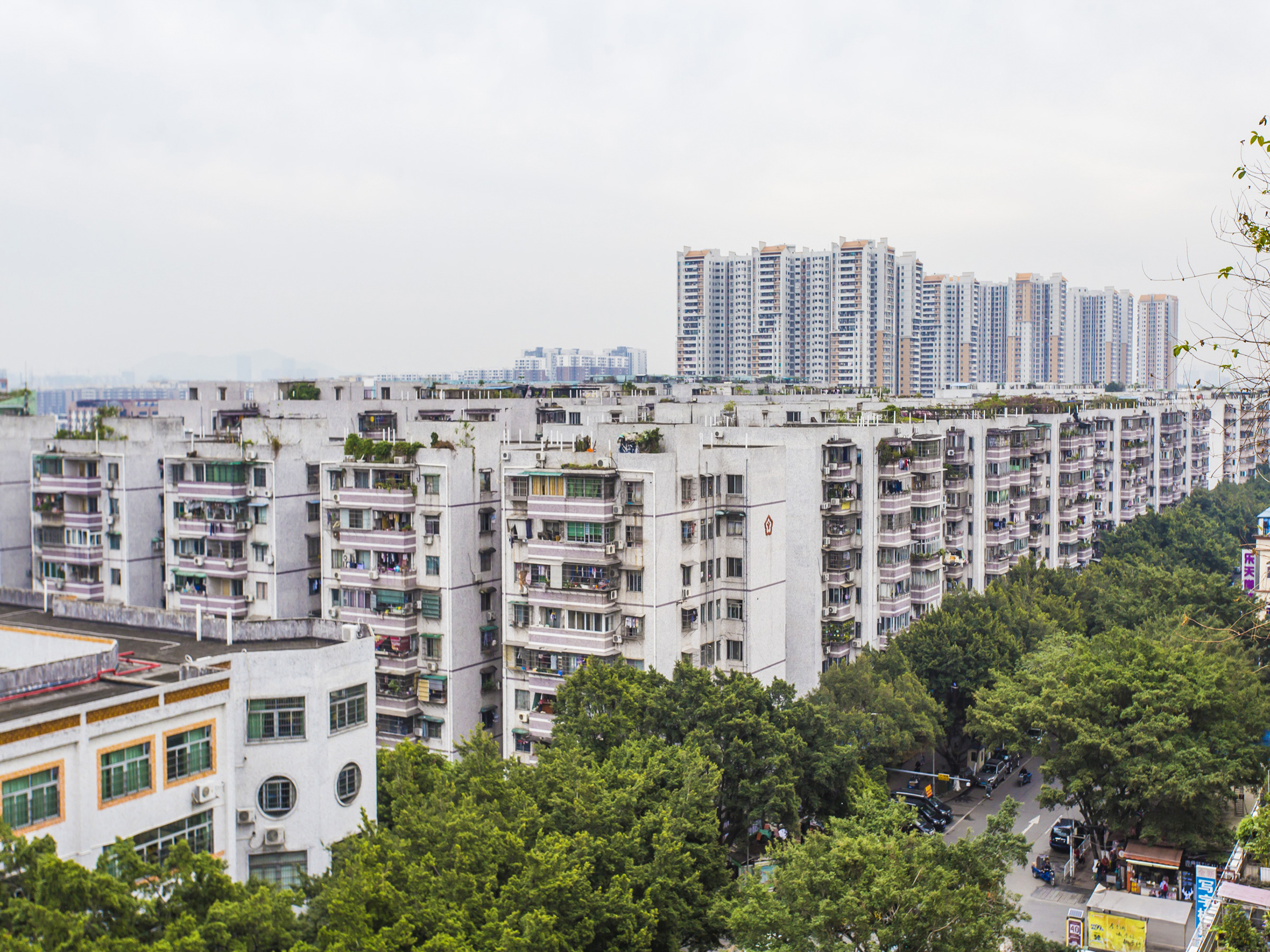 棠德花园 普通住宅 小区图1