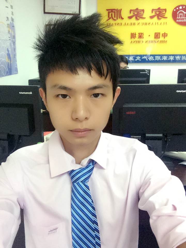 京基云景梧桐经纪人头像