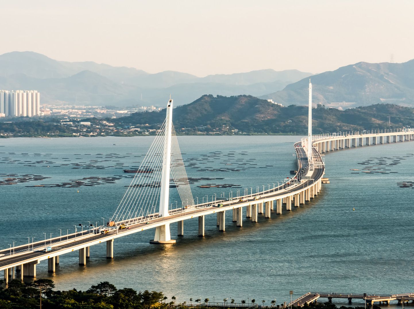 时隔三年，全面通关！800多万港澳客将重返湾区楼市，这些地方值得关注 - 乐有家