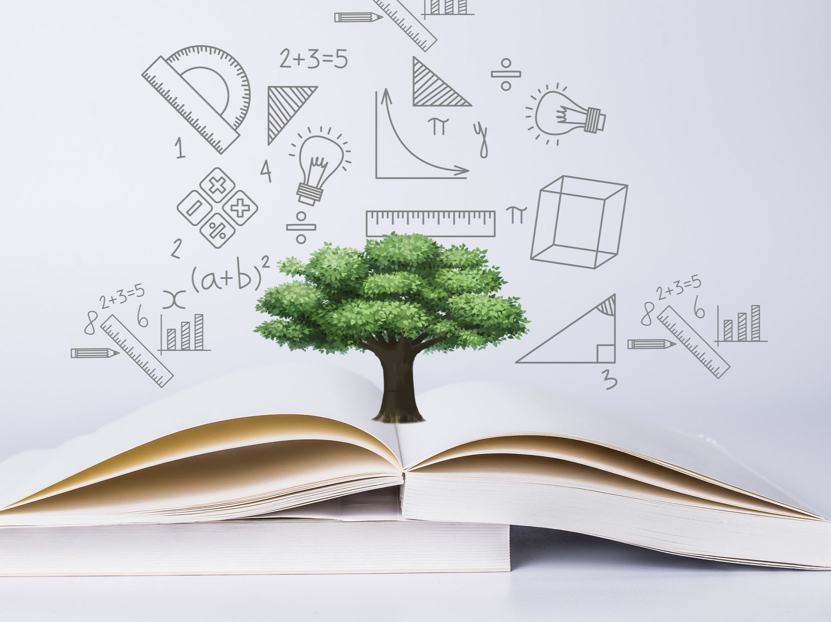 笋岗小学等罗湖3所小学，纳入翠竹教育集团 - 乐有家