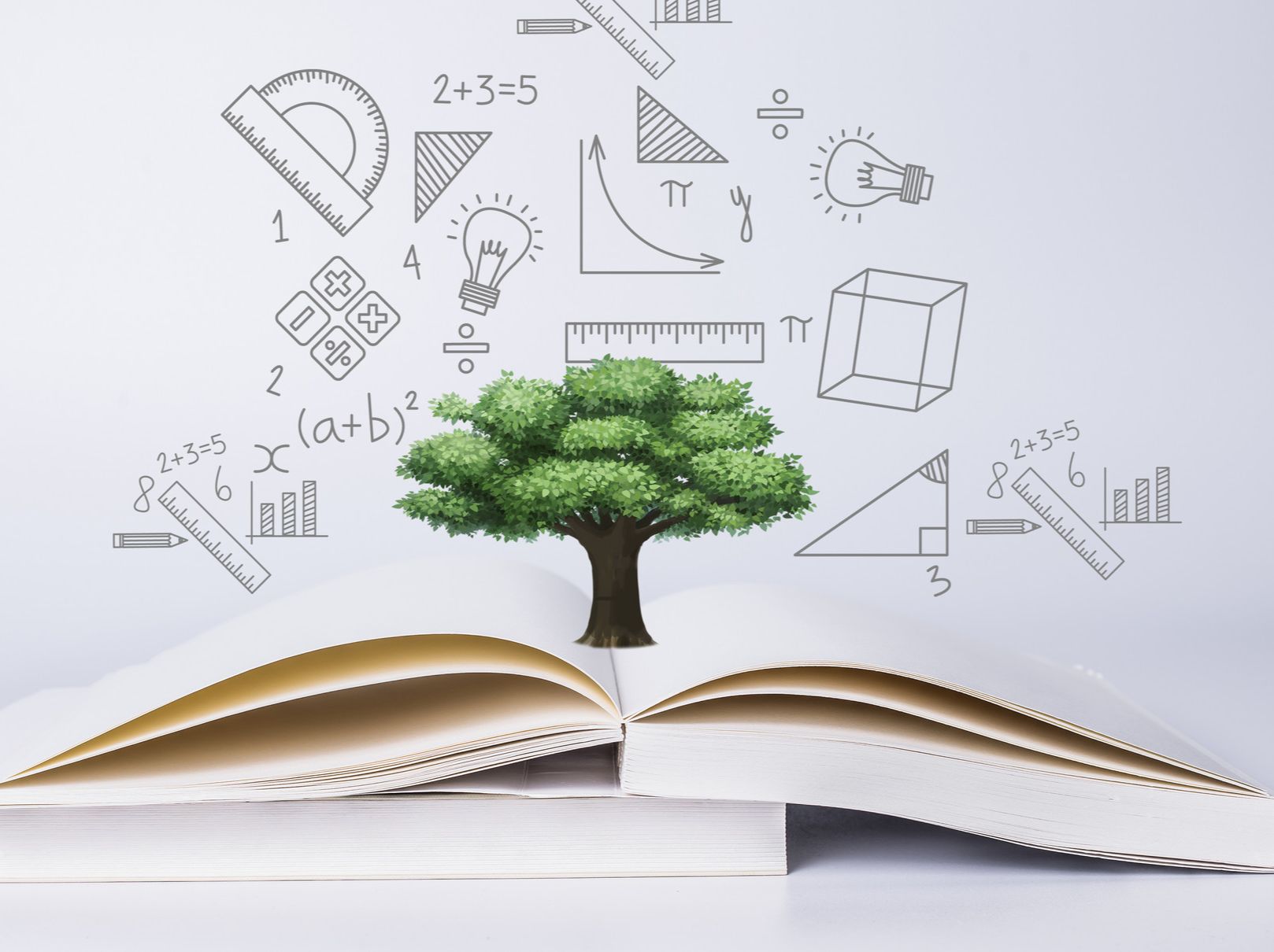 深圳官宣教育工作要点：推进“大学区制”改革、组建25个教育集团 - 乐有家