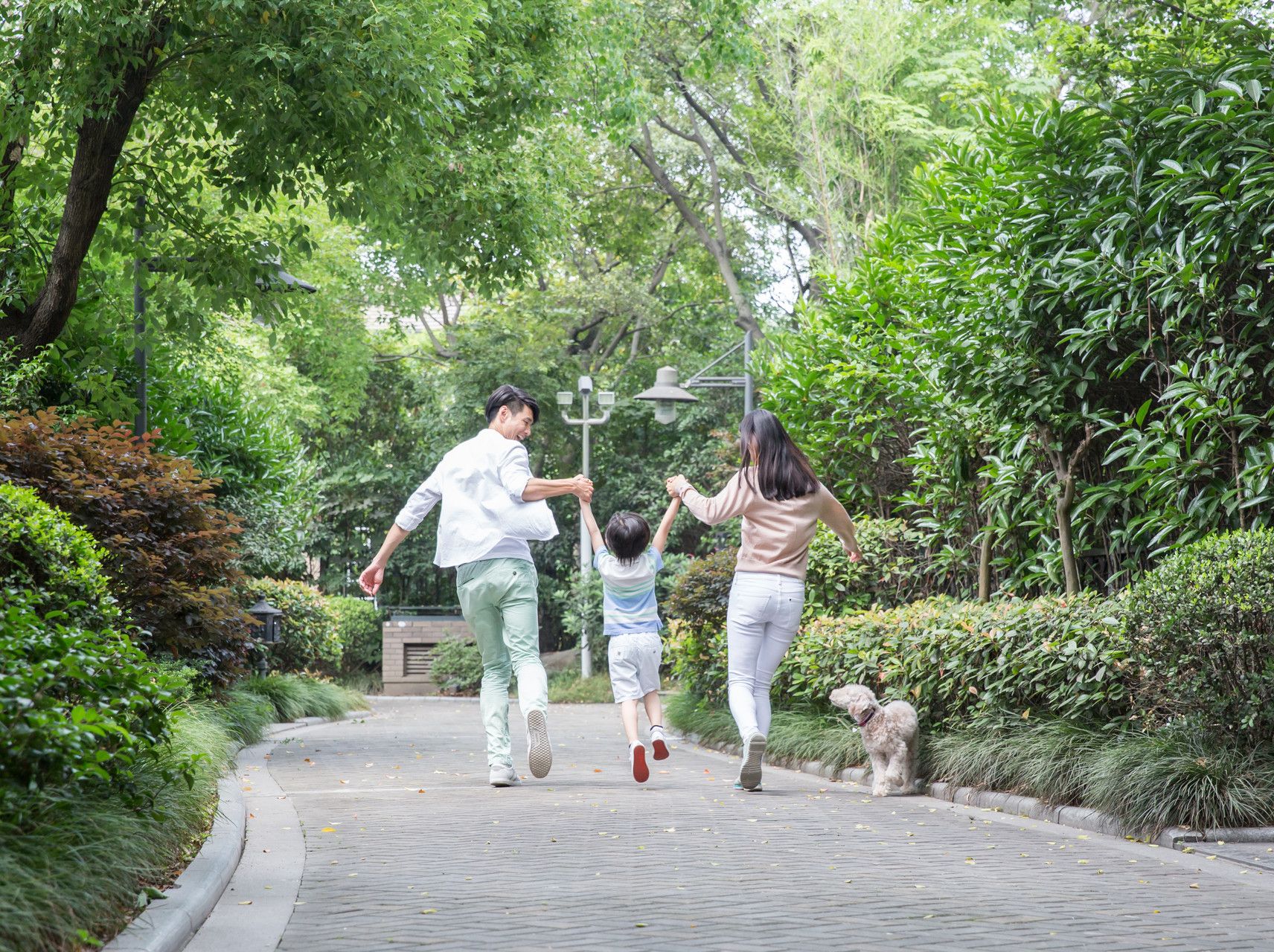 扩招超2800人！中山主城区招生计划、学区有新变化！ - 乐有家