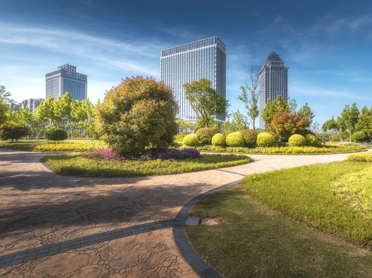 中山12个镇上榜全国镇域经济500强！ - 乐有家