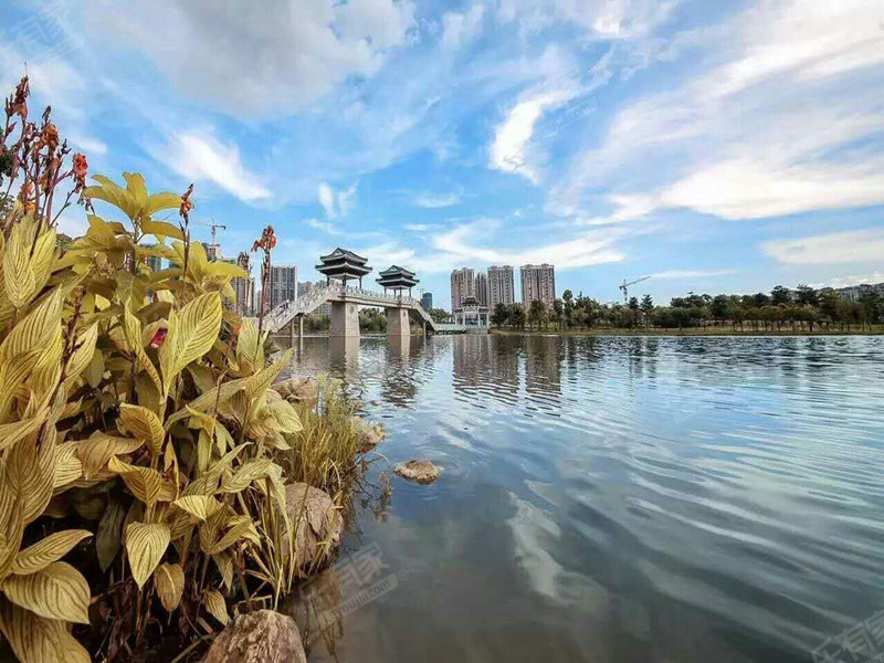 泰丰千花岛花园