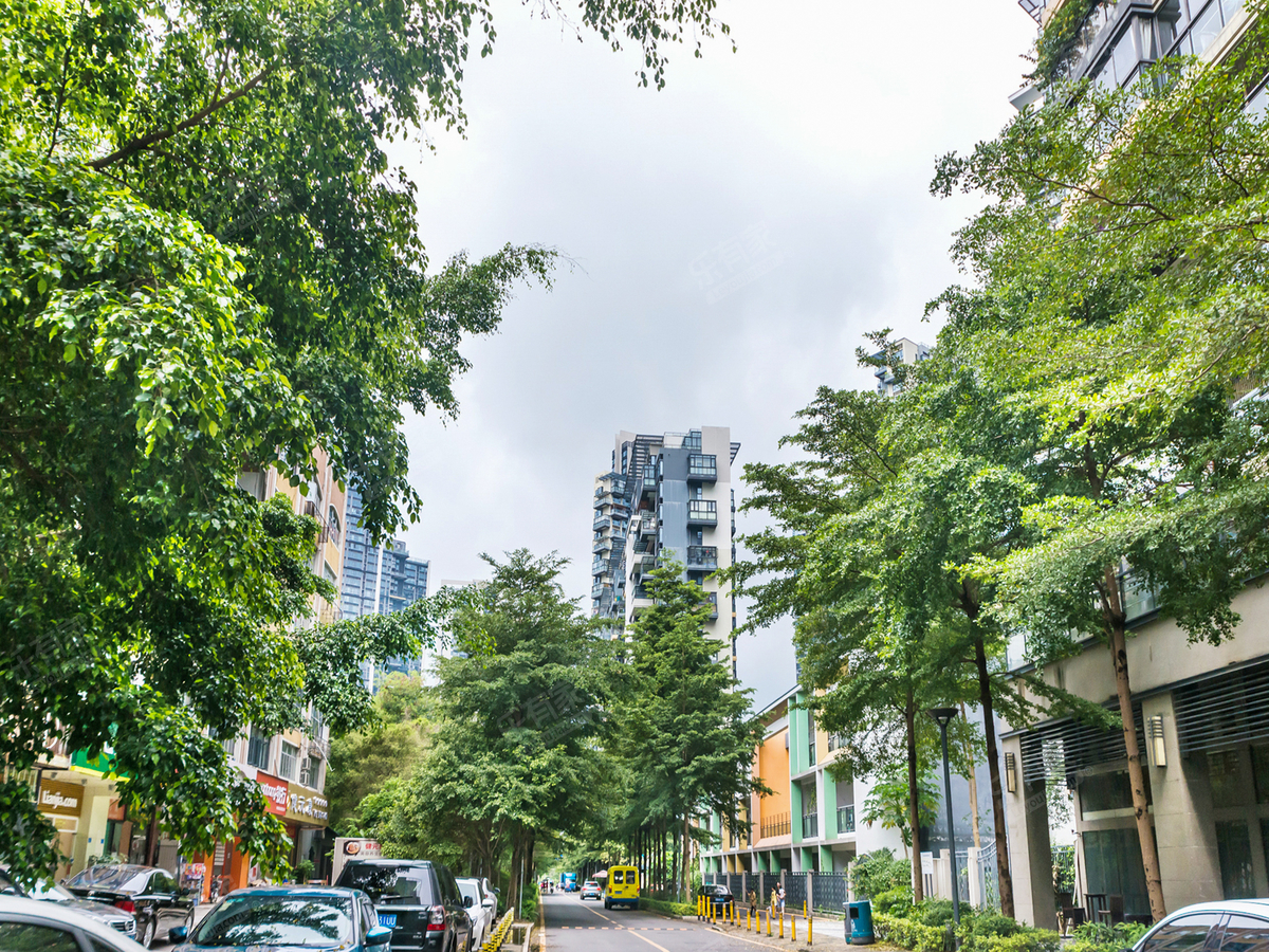 波托菲诺香山里图片