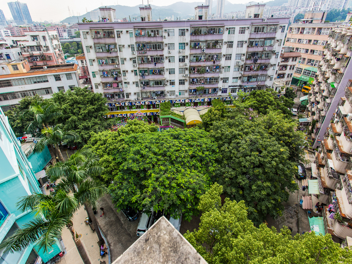 交通方便,业主诚心出售,深圳罗湖布心紫荆花园二手房-深圳乐居二手房