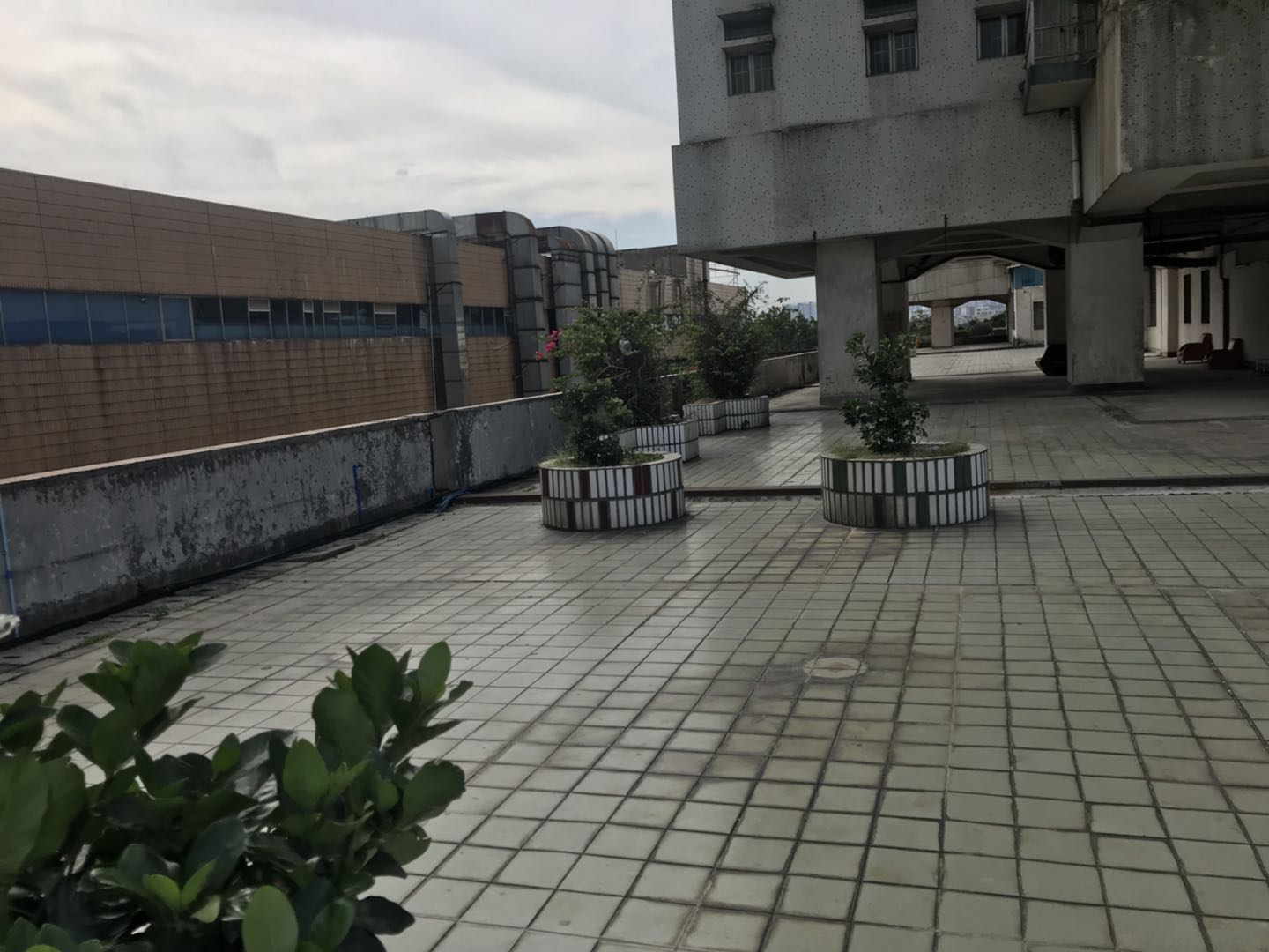 花都湖畔花园 普通住宅 小区图4