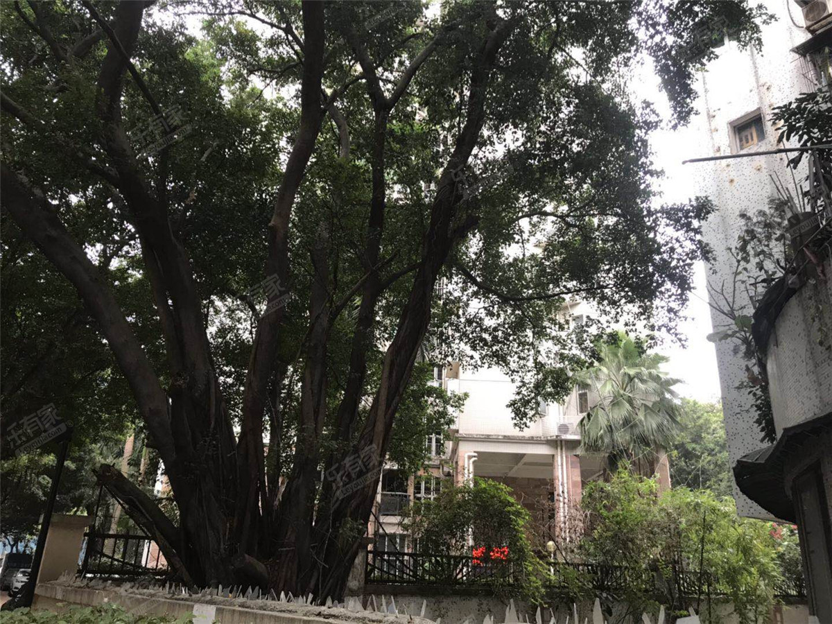 富力碧涛湾小区